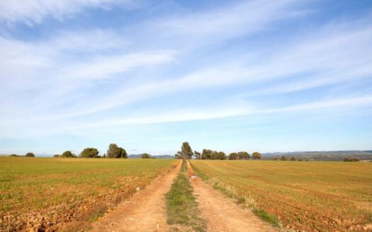 El-Bages-suelo-industrial-en-busqueda-de-actividad-economica