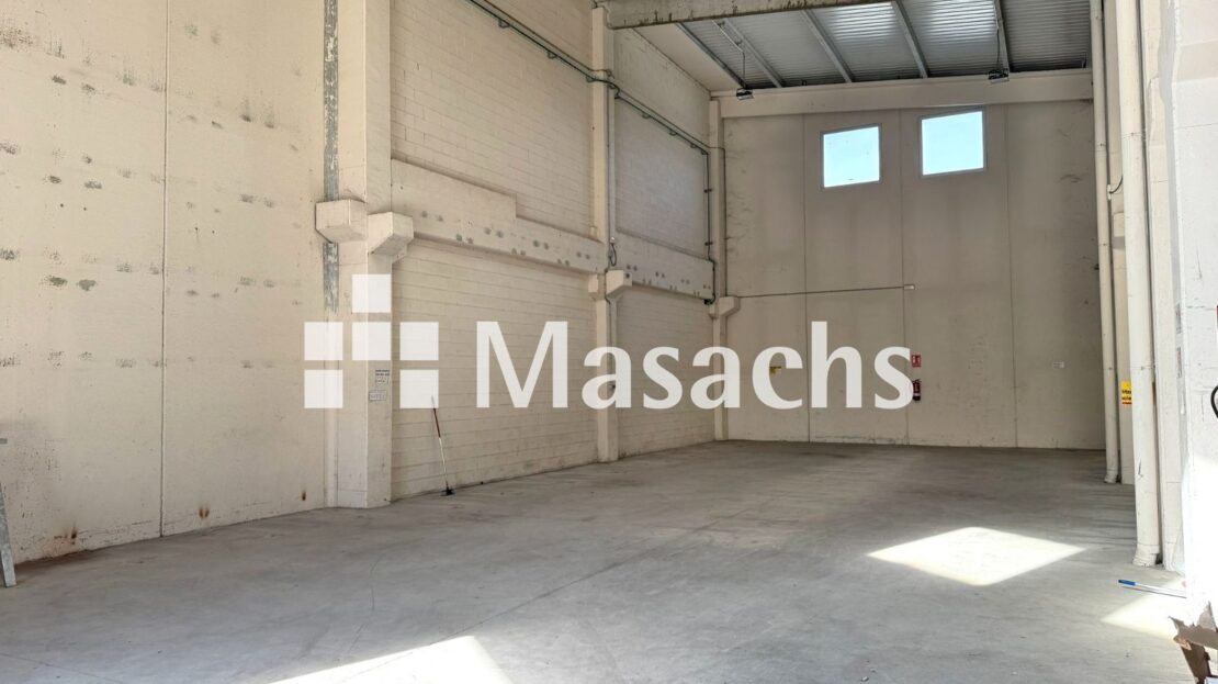 video image