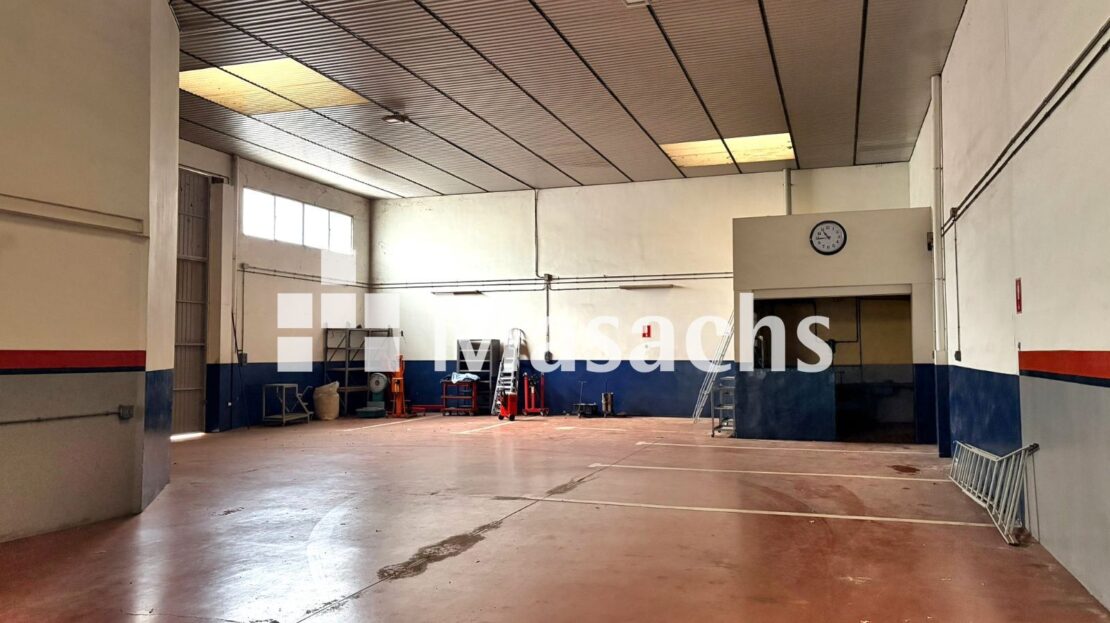 video image